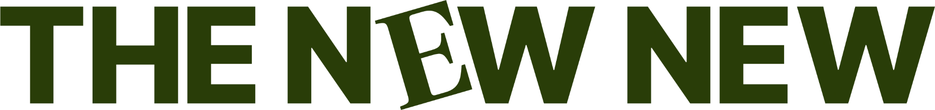 The New New logo